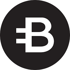 What Is Bcn Crypto