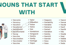 nouns that start with v